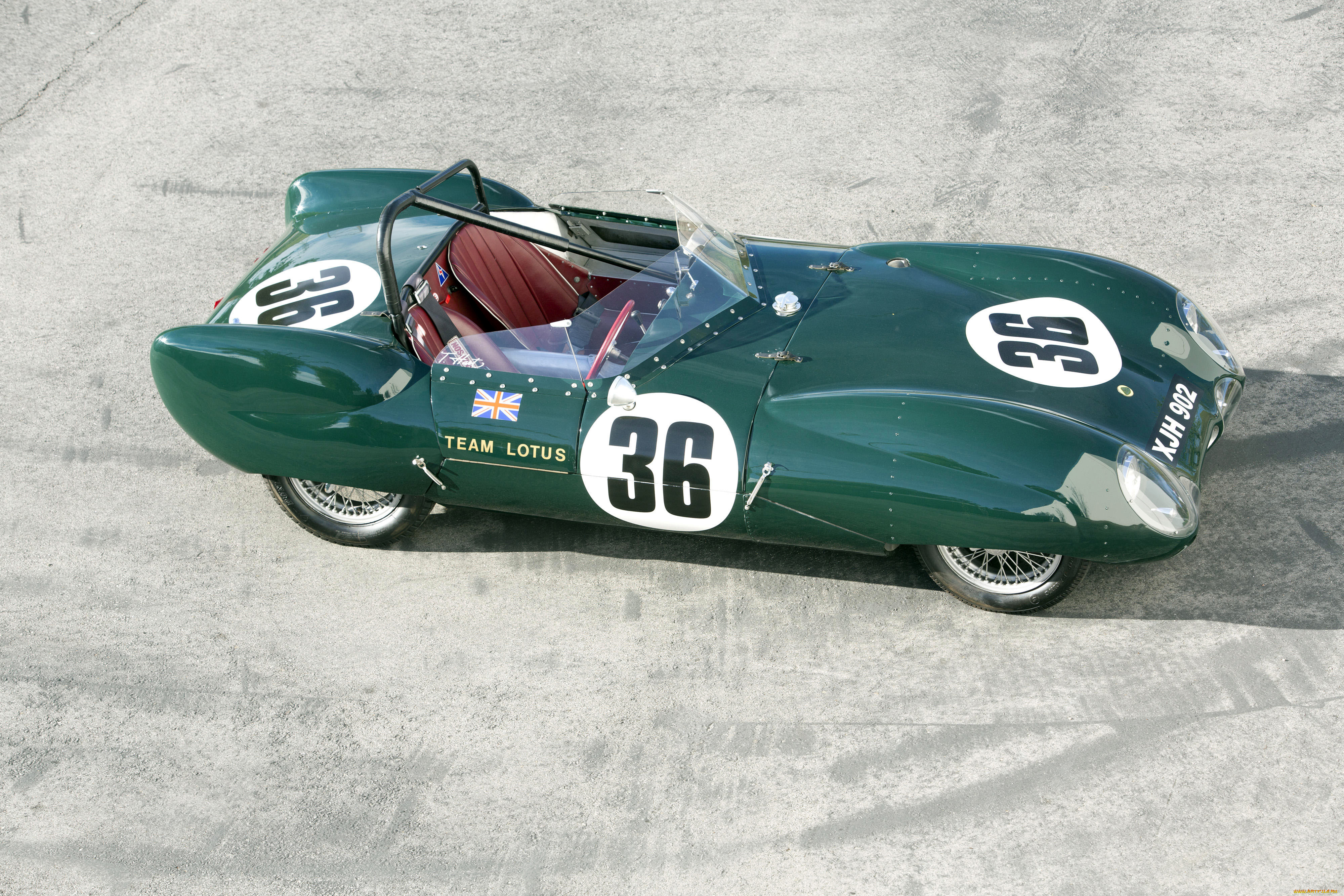 , lotus